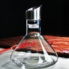 Quick Wine Decanter with Stainless Steel Filter and Lid Crystal Glass Wine Dispenser