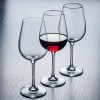 U-shaped Crystal Glass Decanter Set Bordeaux Stemware One-time Molding Wine Glass