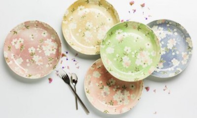 Differences between high and low temperature porcelain?