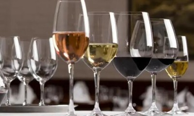 Which wine go with which wine glass?