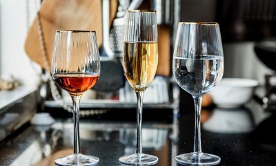 Types of wine glasses