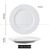 Nordic Dinnerware Carll Solar Series Ceramic White Dinner Plate