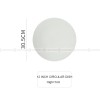 Minimalist Solid Color Plate Ceramic Brushed Round Flat Plates 12"