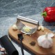 Stainless Steel Manual Garlic and Ginger Masher with Ring Handle