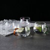 Transparent Glass Ware Set Heat Resistant Mugs With Colorful Handle