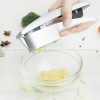 Kitchen Gadgets Alloy Garlic Paste Tool Garlic Press Garlic Slicer