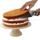 Baking Tools Cake Lifter Shovel Transfer Cake Moving Plate Pizza Mover