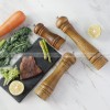 Elegant WoodCraft Manual Salt and Pepper Grinder Set