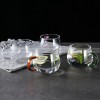 Transparent Glass Ware Set Heat Resistant Mugs With Colorful Handle