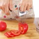 304 Stainless Steel Vegetable and Fruit Slicer with Onion Chopping Gadget