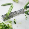 Multipurpose 5-Blade Kitchen Herb Shears - Scallion and Herb Scissors