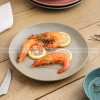 Matte Fusion Ceramic Dinner Plate Combination Tableware Set of 2 (8" and 11")