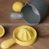 Multi-purpose Manual Juicer Household Lemon Orange Squeezer