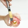 Stainless Steel Fruit Corer Apple Corer Pear Corer Divider Tool