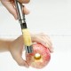 Stainless Steel Fruit Corer Apple Corer Pear Corer Divider Tool